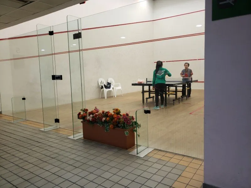 Tung Chau Street Park Squash Centre squash venue photo 7 of 7
