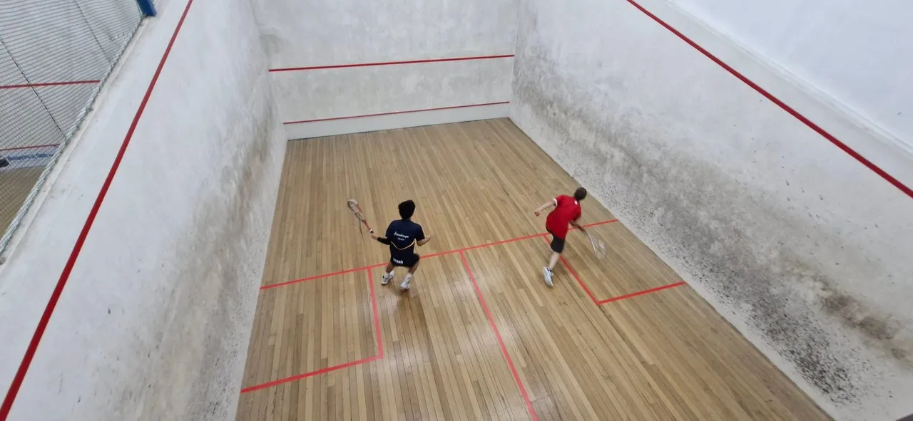 United matamata squash club squash venue photo 3 of 4