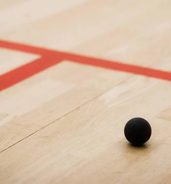 Upper Hutt Squash Club squash venue photo 3 of 7