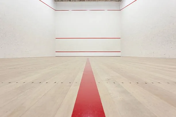 Vejle Squash Klub squash venue photo 6 of 6