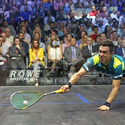 Wellington Squash and Racketball Club squash venue photo 4 of 6